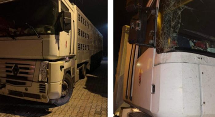 Újból elkapták a teherautóst, aki múlt héten már kiverte a biztosítékot az M7-esen