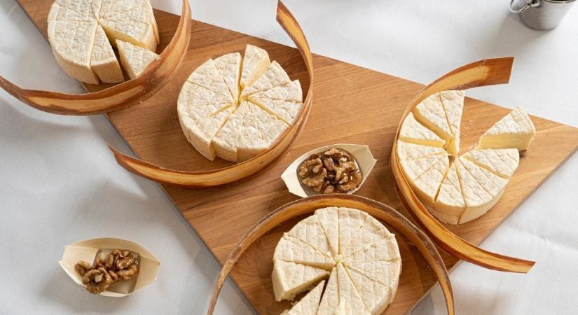 Ismét van magyar sajt a világ legjobbjai között
