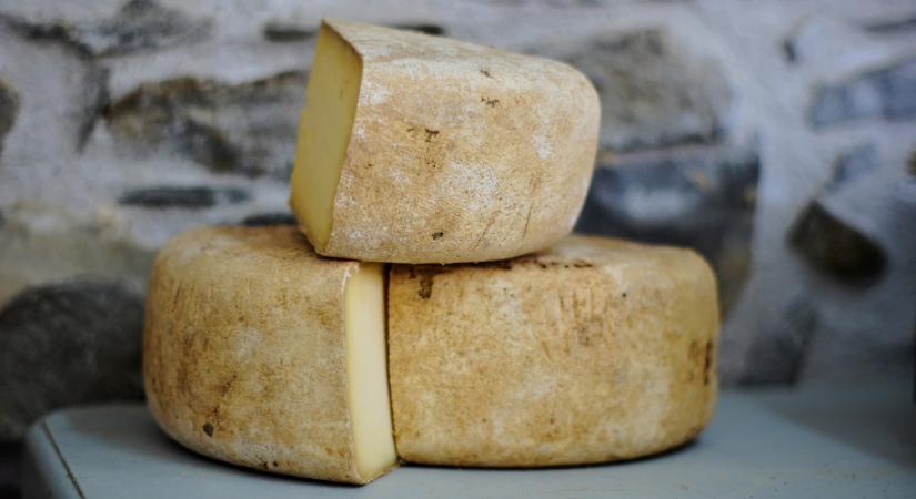 Vörös sörökkel és barna lágerrel is kiváló a világ legjobb sajtja