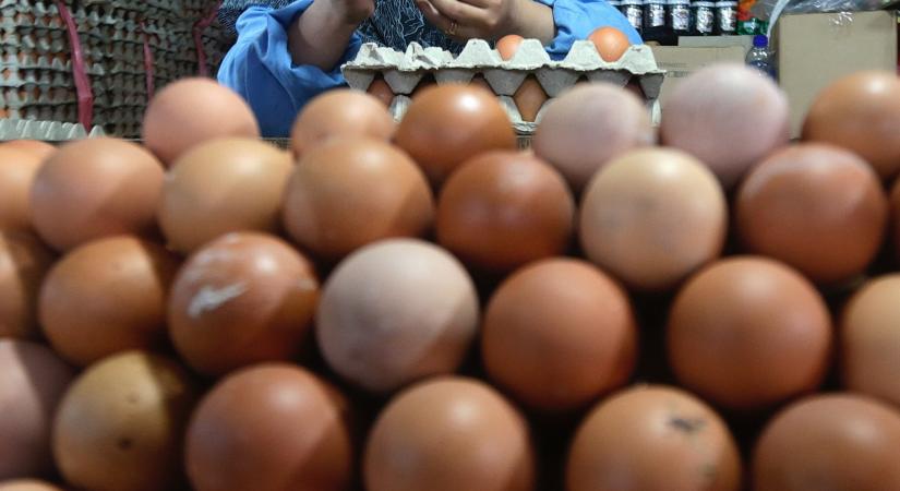 Az árstop hatása: minden eddiginél drágább lehet a tojás a piacon
