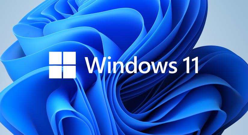 Bizonyos VGA-kkal felfüggeszti a Windows 11 új frissítését a Microsoft