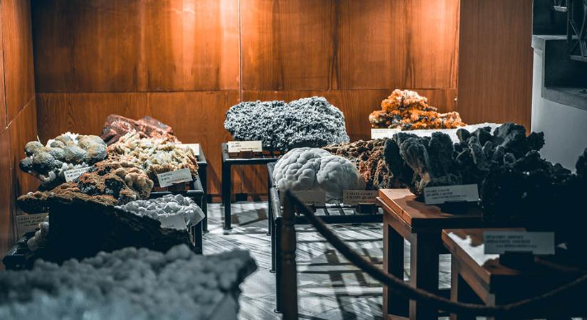 Bánya virágai – A nagybányai ásványmúzeumban jártunk
