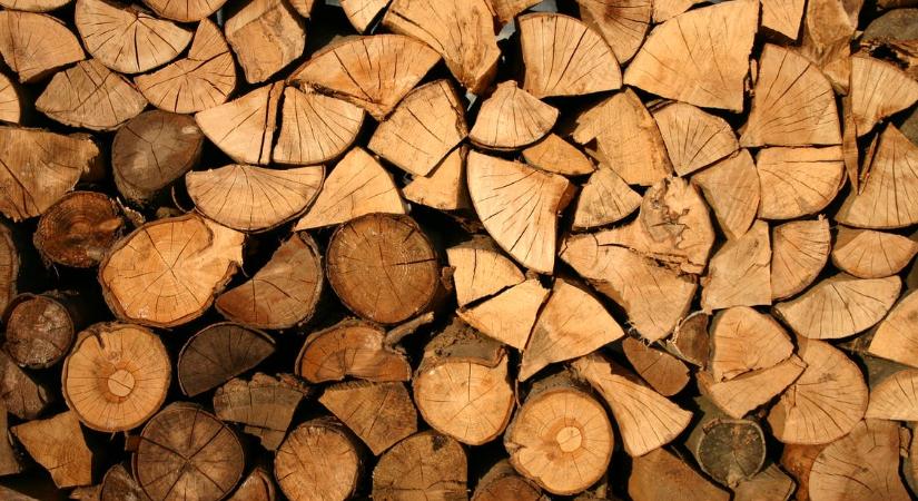 Tűzifa kérdések: erdei köbmétertől a száraz tűzifáig