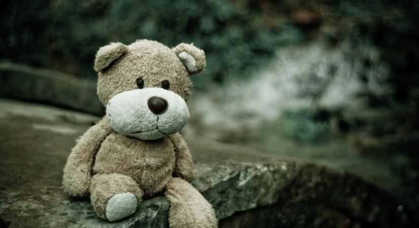 Megszólalt a Győrnél eltűnt 6 éves kislány, akit egész éjjel kerestek!