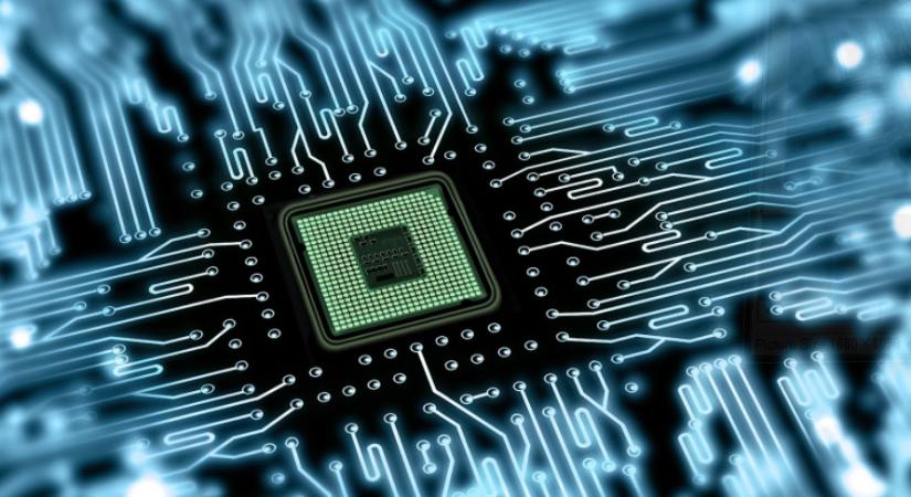 Egy gomba bőréből gyárthatják a számítógépes chipeket a jövőben
