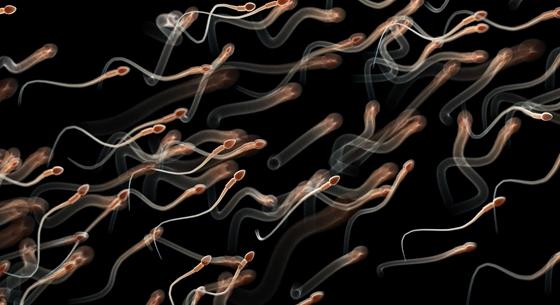 50 év alatt 62,3 százalékkal csökkent a férfiak spermiumszáma, és a helyzet egyre rosszabb lesz