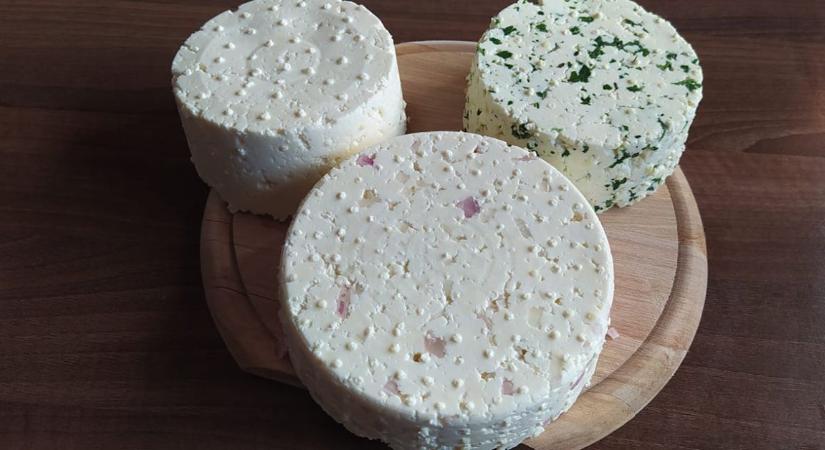 Házi sajt elkészítése – Bolti tejből is lehet készíteni