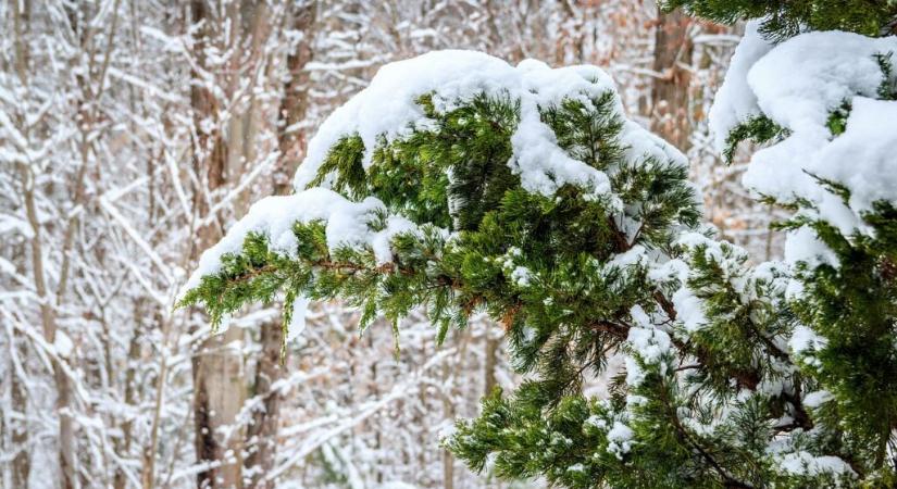 Tizenöt centiméternyi hó esett Nyugat-Szerbiában