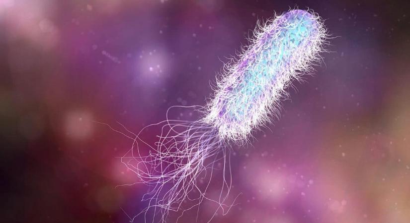 A glifozát erősíti az egyik legveszélyesebb szuperbaktérium antibiotikum-rezisztenciáját