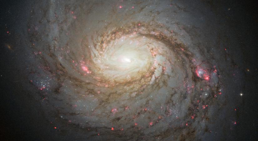 Messzi galaxisból érkeznek a szellemrészecskék