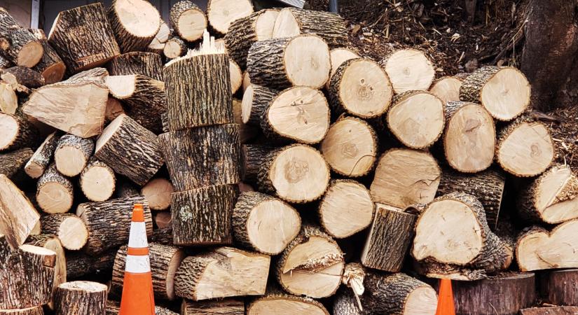 Vigyázat, ellepték a csalók a tűzifapiacot: így verik át a hiszékeny vásárlókat