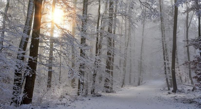 Fehérbe borult a Kőszegi-hegység, 20-30cm hó esett – Fotók