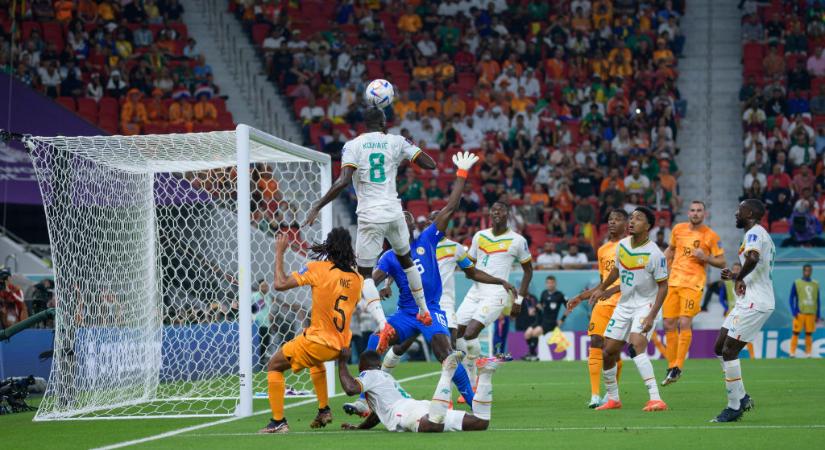 Vb 2022: újabb kulcsemberét vesztette el Afrika bajnoka