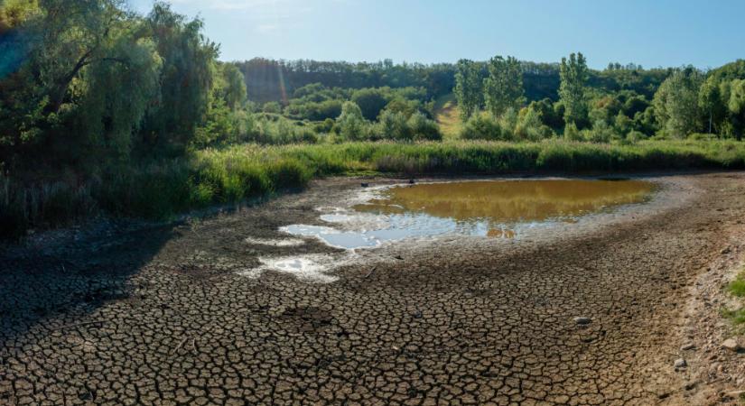 A vízhiányra a vízbőség idején kell felkészülni: így állíthatnánk meg az Alföld elsivatagosodását