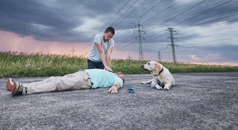 Halálos baleset az autópályán, a sofőr kutyája órákig nem mozdult a helyszínről - Fotó