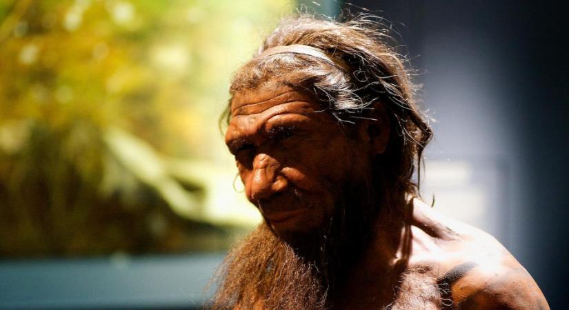 Ínyencek lehettek már a neandervölgyiek is