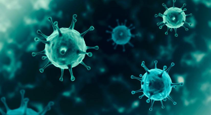 Koronavírus - A fertőzöttek száma 640 millió, a halálos áldozatoké 6,627 millió