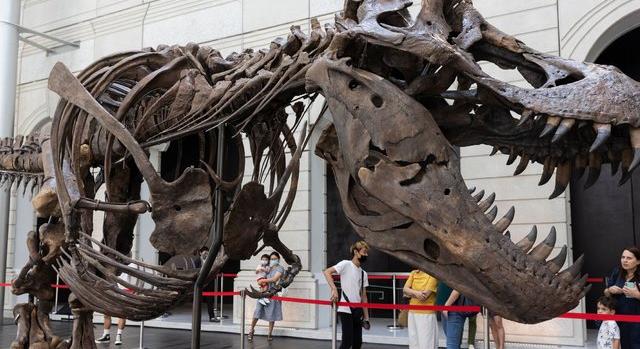 Dinoszauruszos trükközés árnyéka vetült az aukcióra