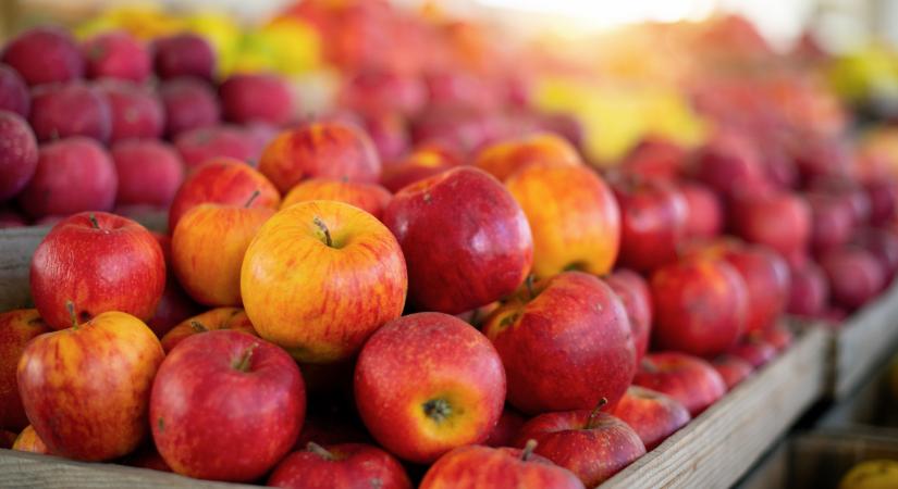 Komoly gondok vannak az európai almával: már a termelők is tehetetlenek