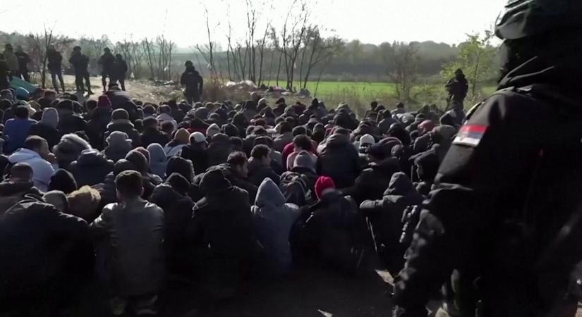 600 illegális migránst találtak a szerb rendőrök