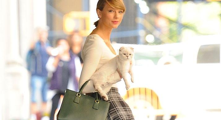 100 millió dollárt keresett eddig Taylor Swift cicája