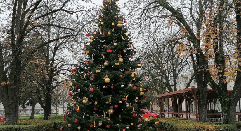 Csodaszép karácsonyfát állítottak Hevesen: közel 800 dísz ékesíti a hatalmas fenyőt