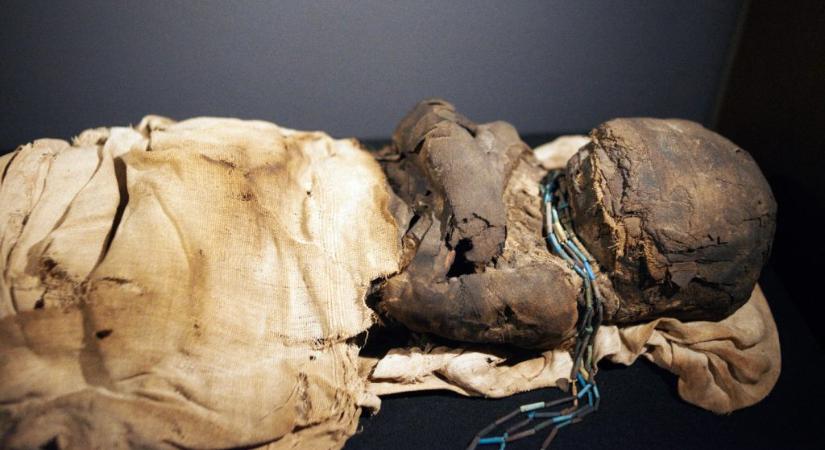 Hány éves a legöregebb múmia?