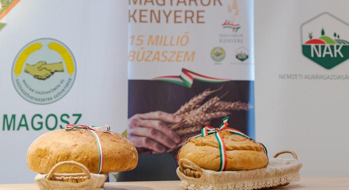 Ezer tonna búza gyűlt összea a Magyarok kenyere programban