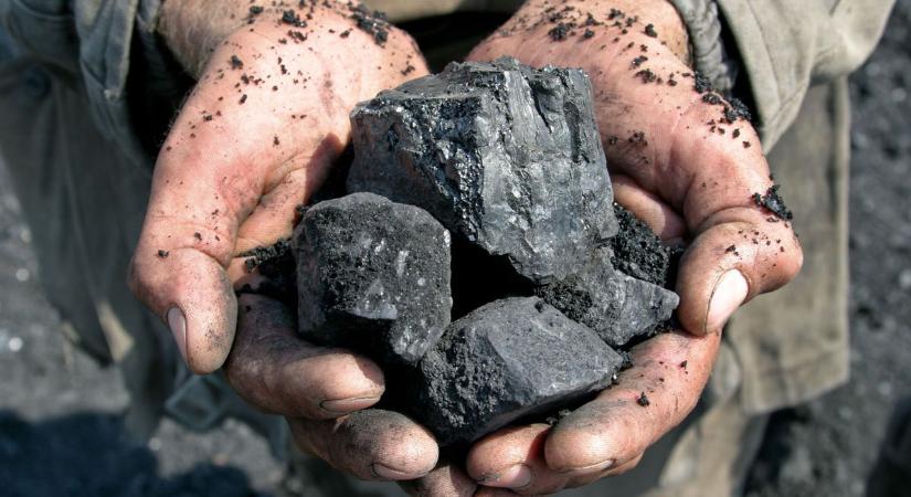 Illegális szénbányászat a kertben, új pénzkereseti lehetőség Lengyelországban