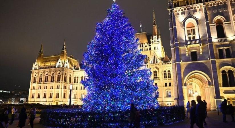 Káprázatos fényekkel pompázik az Apcról a Parlament elé kerül karácsonyfa  fotók, videó