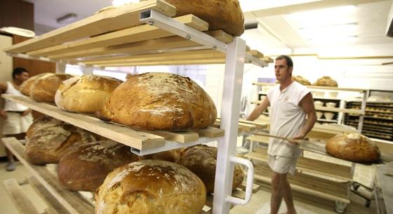 Mégis mit lehet digitalizálni a kenyéren meg a szalámin?