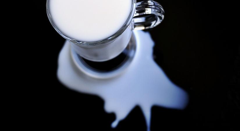 Nébih: országos célvizsgálat a tej- és takarmányágazatban