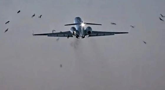 Videón a pillanat, amikor egy amerikai tábornokot szállító gép madárrajjal ütközik