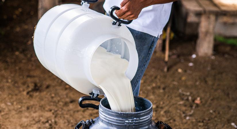 Kiadta a figyelmeztetést a NÉBIH: szennyező anyagot találtak a vidéki tejüzemben