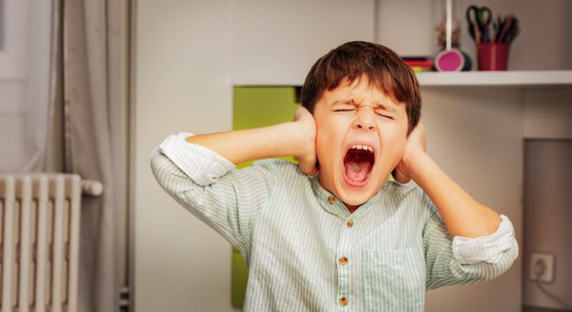 Top 17 tipp a nyugodtság érdekében – Ha a gyermek az őrületbe kerget – 2. rész