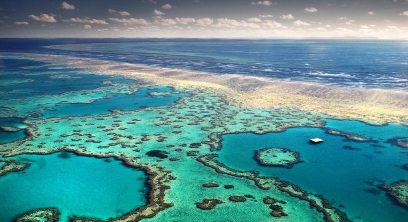 Ausztrália hagyja elveszni a Nagy-korallzátonyt