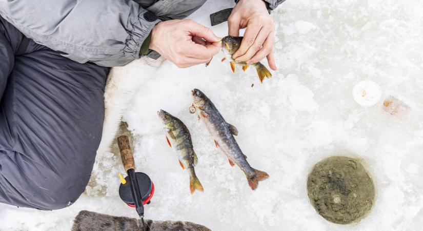 Kétszáz horgászt kellett kimenteni egy leszakadt jégtábláról az Egyesült Államokban