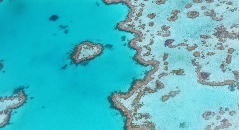 Megkongatták a vészharangot a Nagy-korallzátony állapota miatt