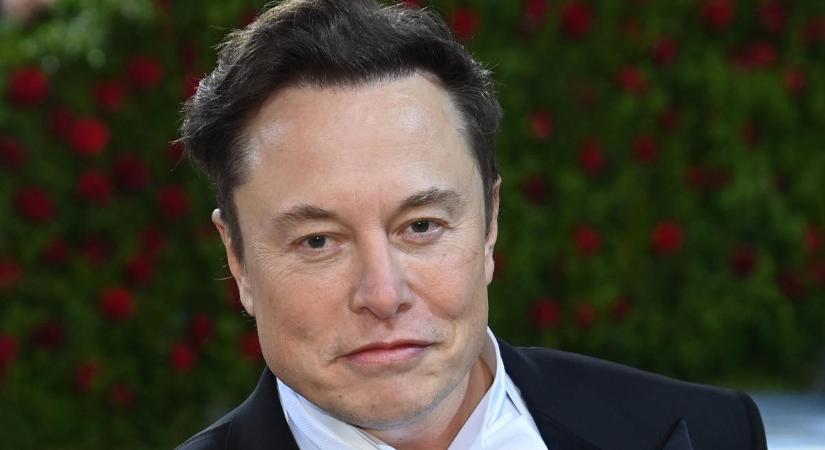 Elon Musk hamarosan már embereken is teszteli az agyba ültethető csipjeit