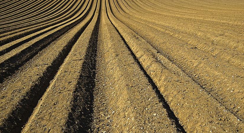 A talaj tápanyag-utánpótlása lesz a hosszú távú jóllétünk kulcsa