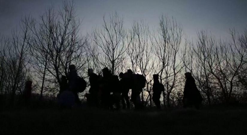 Magyarkanizsa község területéről több mint 200 migránst vittek el a rendőrök