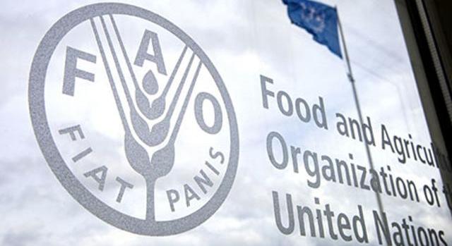 Nőtt a FAO élelmiszerár-indexe