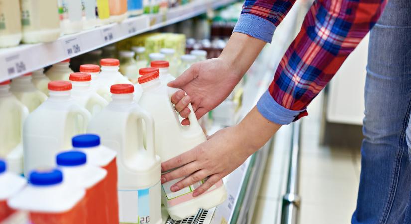 Szennyezett tejtermékeket találtak