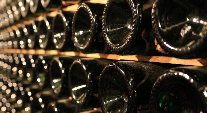 Jelentős kormányzati források segítik a minőségi bortermelést