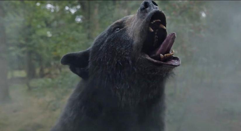 Előzetest kapott a Kokainmedve című film, amely egy beszívott medvéről szól, ráadásul megtörtént események alapján!