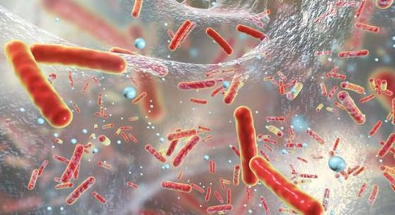 Rájöttek a tudósok, hogyan védik ki a baktériumok az antibiotikumok hatását