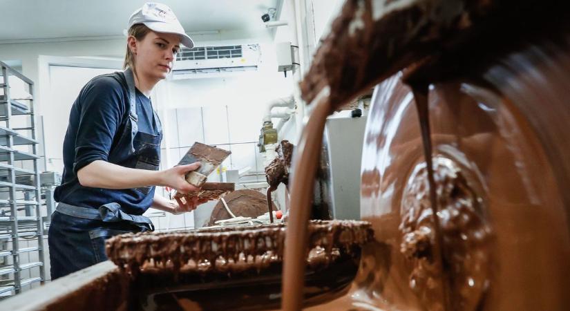 Hogyan készül a szaloncukor? – Szombathelyi csokigyártó üzemben kaptunk választ - fotók