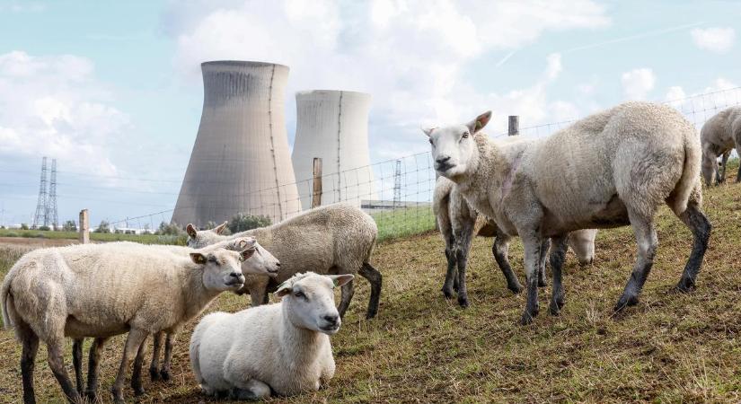 Mi történt? Váratlanul leállt a belgiumi Tihange atomerőművének egyik reaktora