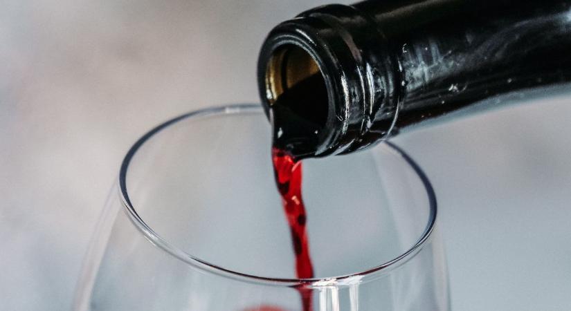 Isznak-e bort a szentek – avagy sorsközösségben a szőlővel