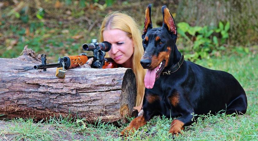Hivatásos vadász mészárolta a védett állatokat Szabolcsban